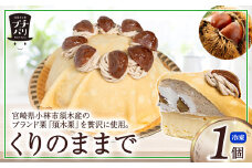 【月5個限定】くりのままで スフレチーズケーキ お菓子 栗 栗ケーキ 栗菓子 モンブラン 甘露煮 E004