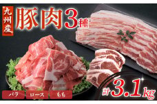 【部位3種食べ比べ!】【数量限定】九州産豚肉 3種セット 計3.1kg（ 国産 豚 豚肉 豚肉セット 豚肉小分け とんかつ 豚バラ 豚スライス 豚ロース 豚切り落とししゃぶしゃぶ 大容量 冷凍 ）