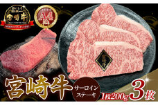 A4等級以上 宮崎牛サーロインステーキ 600g（200g×3枚） 内閣総理大臣賞 牛肉 和牛 黒毛和牛 ブランド牛 宮崎牛 和牛 国産 サーロイン ステーキ