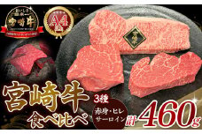 A4等級以上 宮崎牛ステーキ 3種食べ比べセット （460g） 内閣総理大臣賞 牛肉 和牛 黒毛和牛 ブランド牛 宮崎牛 和牛 国産 ヒレ ヒレステーキ サーロイン サーロインステーキ 赤身ステーキ 食べ比べ ステーキ