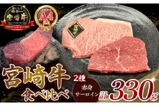 A4等級以上 宮崎牛ステーキ 2種食べ比べセット （330g） 内閣総理大臣賞 牛肉 和牛 黒毛和牛 ブランド牛 宮崎牛 和牛 国産 サーロイン サーロインステーキ 赤身ステーキ 食べ比べ ステーキ