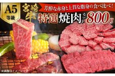 【A5等級】宮崎牛 特選焼肉セット 計800g（赤身・霜降り） 宮崎牛 ブランド牛 和牛 牛肉 焼肉 特選和牛 霜降り A5 宮崎県 小林市
