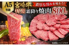 【A5等級】宮崎牛特選霜降り焼肉 800g（400g×2P） 宮崎牛 ブランド牛 和牛 牛肉 焼肉 特選和牛 霜降り A5 宮崎県 小林市