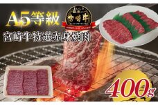 【A5等級】宮崎牛特選赤身焼肉 400g  宮崎牛 ブランド牛 和牛 牛肉 焼肉 特選和牛 赤身 A5 宮崎県 小林市