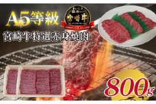 【A5等級】宮崎牛特選赤身焼肉 800g  宮崎牛 ブランド牛 和牛 牛肉 焼肉 特選和牛 赤身 A5 宮崎県 小林市