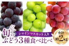 【数量限定】旬のぶどう３種食べ比べ アソート 計2kg程度 （ シャインマスカット オーロラブラック クイーンニーナ ）   ぶどう ブドウ シャインマスカット シャイン マスカット フルーツ 果物 くだもの ぶどう食べ比べ 宮崎県小林市