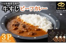 宮崎県西ノ原牧場・黒毛和牛 牛すじ ビーフカレー 3P 牛肉 国産 和牛 牛スジ カレー レトルト 簡単調理