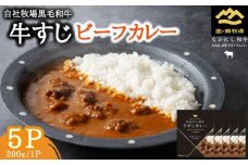 宮崎県西ノ原牧場・黒毛和牛 牛すじ ビーフカレー 5P 牛肉 国産 和牛 牛スジ カレー レトルト 簡単調理