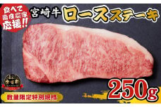 【内閣総理大臣賞 4大会連続受賞】宮崎牛 ロースステーキ 250g（牛肉 黒毛和牛 畜産農家応援 ロース ステーキ 赤身 数量限定）