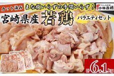 【カット済み】宮崎県産若鶏バラエティセット 計6.1kg 国産 鶏肉 若鶏 もも肉 むね肉 鶏カルビ ささみ ミンチ 小分け カット 冷凍 詰め合わせ セット