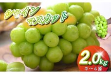 【観光農園直送！】シャインマスカット 2kg程度（3～4房 ぶどう ブドウ マスカット フルーツ 果物）