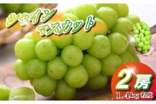 【観光農園直送！】シャインマスカット 2房 1.4kg程度（ぶどう ブドウ マスカット フルーツ 果物）