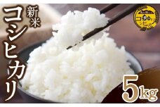 【令和7年産】湧水で育った小林産コシヒカリ 5kg（5kg×1袋 お米 米 こしひかり コシヒカリ 白米 精米 限定）