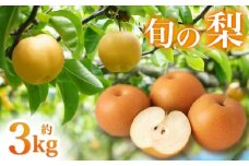 【産地直送】小林市産 旬の梨 3kg（梨 ナシ なし フルーツ 果物 くだもの 限定）