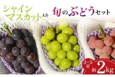 【産地直送】シャインマスカット等の旬のぶどう詰め合わせ 2kg（シャインマスカット ぶどう ブドウ 果物 セット 詰め合わせ フルーツ 贈答用 限定）