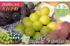 【先行予約/2026年発送】シャインマスカット等の旬のぶどう詰め合わせ 2.5kg（シャインマスカット ぶどう ブドウ 果物 セット 詰め合わせ フルーツ 2026 贈答用 限定）