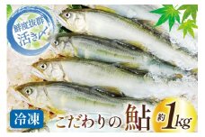 鮎 冷凍 こだわりの鮎 約1kg [あゆの是則 宮崎県 日向市 452060794] あゆ アユ 魚 魚介 川魚 塩焼き 甘露煮 冷凍