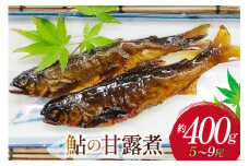 惣菜 鮎の甘露煮 約400g [あゆの是則 宮崎県 日向市 452060876] 魚 魚介 あゆ アユ 真空 常温