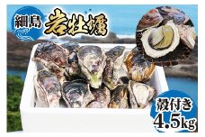 【期間限定発送】岩牡蠣 殻付き 細島 岩ガキ 約4.5kg [道の駅日向 宮崎県 日向市 452060571] いわがき 岩がき 牡蠣 日豊海岸 濃厚 クリーミー