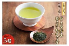 新茶 太陽と緑の 特上釜炒茶と特上 ひむかの香り 詰め合わせ 5種セット [日向茶業 宮崎県 日向市 452060971] 緑茶 日本茶 茶葉 お茶 特上 深蒸し茶 煎茶 釜炒り茶 玉緑茶 飲み比べ