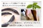 画像はイメージです