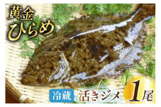 魚 黄金ひらめの活きジメ 1尾 [あゆの是則 宮崎県 日向市 452060877] 魚 魚介 鮮魚 活 ひらめ ヒラメ 平目