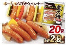 日本ハム 薫の詩 ウインナー 145g×20袋 [日本ハムマーケティング 宮崎県 日向市 452060957] 豚肉 あらびき ポーク ソーセージ ニッポンハム