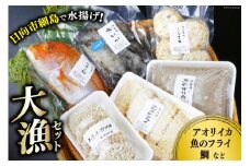 海の駅ほそしま 大漁 セット [海の駅 ほそしま 宮崎県 日向市 452060079] 冷凍 アオリイカ 魚 フライ すり身 詰め合わせ