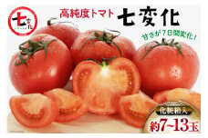 【期間限定発送】 トマト こだわりのホントに美味しい 高糖度トマト 7～13玉 化粧箱入り [奈須農園 宮崎県 日向市 452060935] 野菜 とまと ソプラノ 高糖度 甘い 産地直送 贈答用