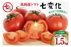 【期間限定発送】 トマト こだわりのホントに美味しい 高糖度トマト 1.5kg [奈須農園 宮崎県 日向市 452060934] 野菜 とまと ソプラノ 高糖度 甘い 産地直送 不揃い 家庭用