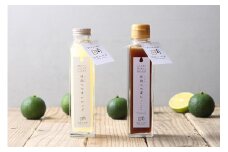 日向へべぽん&日向へべすシロップセット(各1本) [K&Co. 宮崎県 日向市 452060080] 
