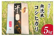米 大黒園の新米 精米したて 無洗米 コシヒカリ 5kg [大黒園 宮崎県 日向市 452060921] 国産 こしひかり 精米