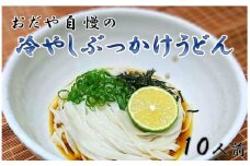 麺 おだや自慢の冷やしぶっかけうどんセット 10人前 つゆ 海苔 付き [うどんBar おだや 宮崎県 日向市 452060802] 生麺 生めん うどん ウドン 冷やし スープ のり 平打ち 釜揚げ 冷蔵