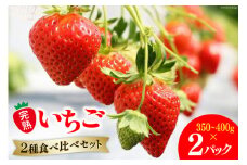 【期間限定発送】 果物 完熟いちご 食べ比べセット 350g～400g×2 [亀の子いちご園 宮崎県 日向市 452060852] フルーツ 苺 イチゴ 朝摘み 朝どれ 新鮮 やよいひめ よつぼし さがのほか 紅ほっぺ 国産