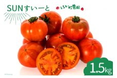 【期間限定発送】 トマト SUNすいーと 1.5kg×1箱 [にいな農園 宮崎県 日向市 452060918] 野菜 フルーツトマト 高糖度 甘い