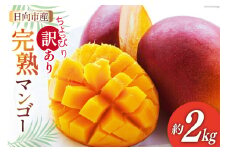 【2025年夏発送】 訳あり 宮崎 完熟 マンゴー 約 2kg [宮崎県農業協同組合日向地区本部（販売課） 宮崎県 日向市 452060660] 果物 フルーツ 規格外 家庭用 完熟マンゴー 甘い 日向 期間限定 冷蔵