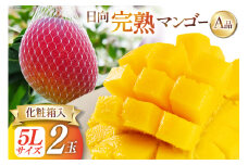 【2026年夏発送】 宮崎 完熟 マンゴー 秀品 A品 5L×2玉 化粧箱入り [宮崎県農業協同組合日向地区本部（販売課） 宮崎県 日向市 452060663] 果物 フルーツ 完熟マンゴー 甘い 日向 化粧箱 期間限定 冷蔵