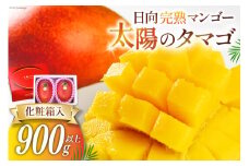 【2025年夏発送】 宮崎 完熟 マンゴー 太陽のタマゴ 秀品 900g以上 [宮崎県農業協同組合日向地区本部（販売課） 宮崎県 日向市 452060664] 果物 フルーツ 完熟マンゴー 甘い 日向 期間限定 冷蔵
