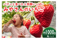 【期間限定発送】みやさん自慢のおすすめチョイス！ 完熟 いちご (250g×4パック) 約1000g [みやさんのいちご 宮崎県 日向市 452060988] イチゴ 苺 朝摘み 朝どれ 新鮮 さがのほか 紅ほっぺ はるうらら 国産