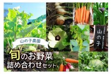 旬のお野菜詰め合わせセット [山の子農園 宮崎県 日向市 452060912] 野菜 国産 詰め合わせ セット