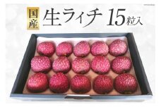 【期間限定発送】 生ライチ 15粒入り [大黒園 宮崎県 日向市 452060925] 果物 フルーツ 国産 宮崎産