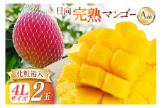 【2025年夏発送】 宮崎 完熟 マンゴー 秀品 A品 4L×2玉 化粧箱入り [宮崎県農業協同組合日向地区本部（販売課） 宮崎県 日向市 452060662] 果物 フルーツ 完熟マンゴー 甘い 日向 化粧箱 期間限定 冷蔵