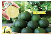 【期間限定発送】 旬を先取り 黒木へべすファーム自慢の《ハウス》へべす 1kg [黒木へべすファーム 宮崎県 日向市 452060741] 柑橘 国産 ヘベス 平兵衛酢 ビタミンC アミノ酸