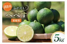 【期間限定発送】 へべす 訳あり 柑橘 ふぞろい 果実 5kg [山本農園 宮崎県 日向市 452060744] ヘベス 果汁 柑橘 ポン酢 調味料