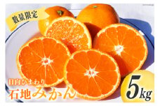 【期間限定発送】 みかん 訳あり 日向ひまわり 石地みかん 2S ～ L サイズ 5kg [ひまわり農園 宮崎県 日向市 452061493] ミカン 小玉 大玉 柑橘 家庭用 数量限定