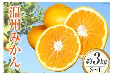 【期間限定発送】温州みかん 3kg [大黒園 宮崎県 日向市 452060919] 果物 フルーツ 柑橘 みかん ミカン