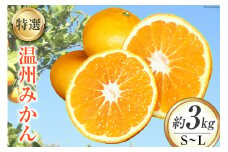 【期間限定発送】特選 温州みかん (化粧箱入り) 3kg [大黒園 宮崎県 日向市 452060920] 果物 フルーツ 柑橘 みかん ミカン
