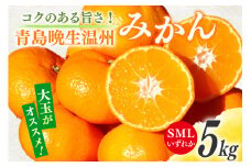 【期間限定発送】 みかん 5kg コクのある甘さ うまぁ〜い！！青島晩生温州みかん S・M・L いずれか [黒田農園 宮崎県 日向市 452061304] 果物 フルーツ ミカン 蜜柑 柑橘