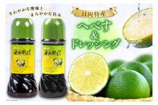 日向特産へべす青果と加工品のセット [JA日向 ひむか彩館 宮崎県 日向市 452060731]