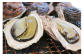 日向市特産のへべす　細島岩ガキとの相性抜群です！！